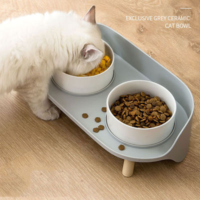 Pas d'heure de réglage des bols en céramique pour animaux de compagnie pour chats et chiens