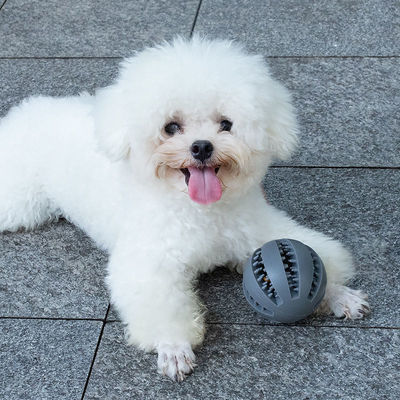 Jouer aux jouets pour chiens Boule de silicone pour nettoyer les dents et distribuer de la nourriture