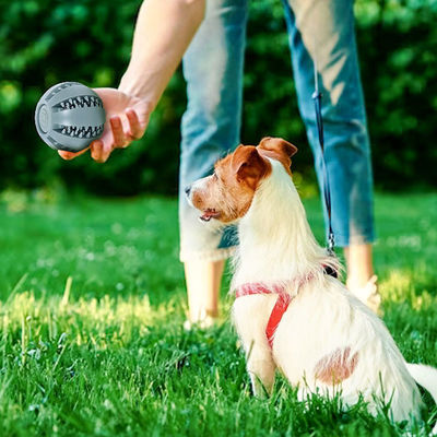 Jouer aux jouets pour chiens Boule de silicone pour nettoyer les dents et distribuer de la nourriture