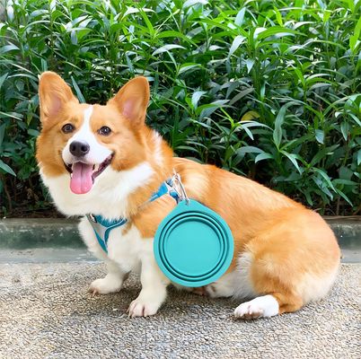 Bouteille en silicone pour animaux de compagnie adaptée aux voyages pour la nourriture lente et l'eau potable lors d'aventures en plein air