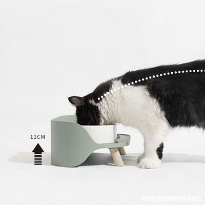 Pas d'heure de réglage des bols en céramique pour animaux de compagnie pour chats et chiens