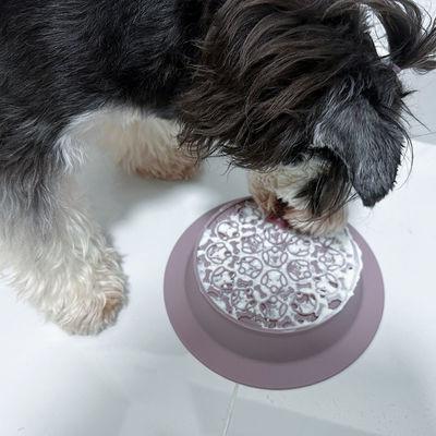 Voltage non applicable Bouteille à lécher pour chiens en silicone conception interactive d'alimentateur lent